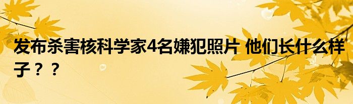 发布杀害核科学家4名嫌犯照片 他们长什么样子??