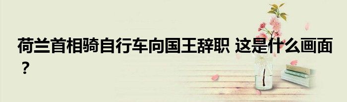 荷兰首相骑自行车向国王辞职 这是什么画面?