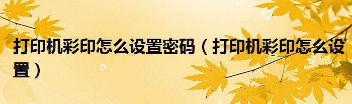 打印机彩印怎么设置密码(打印机彩印怎么设置)
