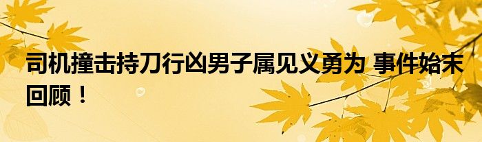 司机撞击持刀行凶男子属见义勇为 事件始末回顾!