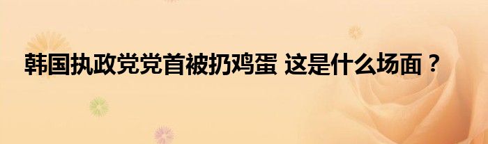 韩国执政党党首被扔鸡蛋 这是什么场面?