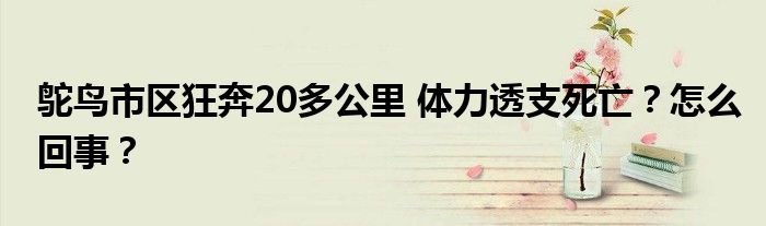 鸵鸟市区狂奔20多公里 体力透支死亡?怎么回事?
