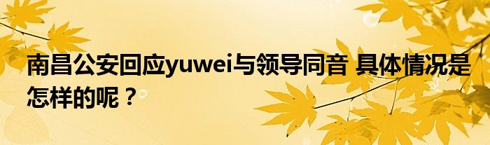 南昌公安回应yuwei与领导同音 具体情况是怎样的呢?
