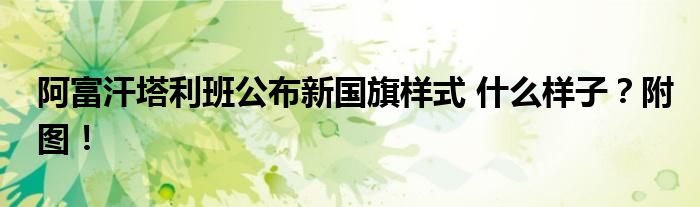 阿富汗塔利班公布新国旗样式 什么样子?附图!