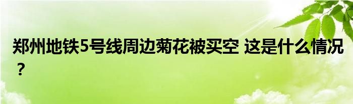 郑州地铁5号线周边菊花被买空 这是什么情况?