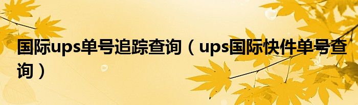 国际ups单号追踪查询(ups国际快件单号查询)