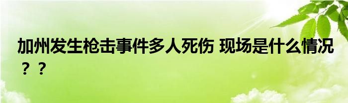 加州发生枪击事件多人死伤 现场是什么情况??