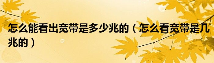 怎么能看出宽带是多少兆的(怎么看宽带是几兆的)
