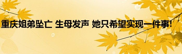重庆姐弟坠亡 生母发声 她只希望实现一件事!