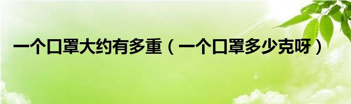 一个口罩大约有多重(一个口罩多少克呀)