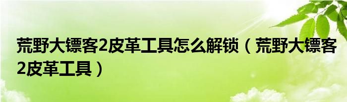 荒野大镖客2皮革工具怎么解锁(荒野大镖客2皮革工具)