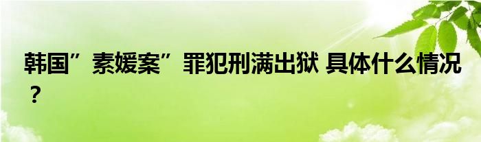 韩国”素媛案”罪犯刑满出狱 具体什么情况?