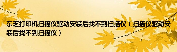 东芝打印机扫描仪驱动安装后找不到扫描仪(扫描仪驱动安装后找不到扫描仪)