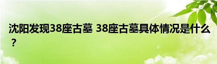 沈阳发现38座古墓 38座古墓具体情况是什么?