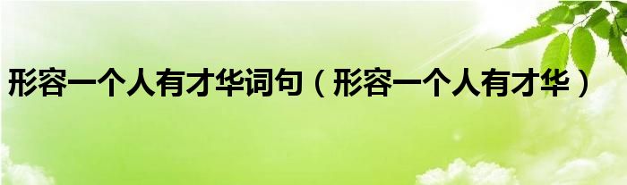 形容一个人有才华词句(形容一个人有才华)