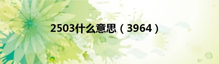 2503什么意思(3964)