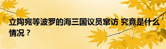 立陶宛等波罗的海三国议员窜访 究竟是什么情况?