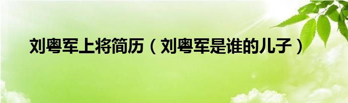 刘粤军上将简历(刘粤军是谁的儿子)