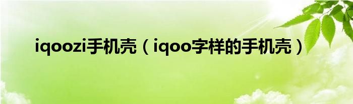 iqoozi手机壳(iqoo字样的手机壳)