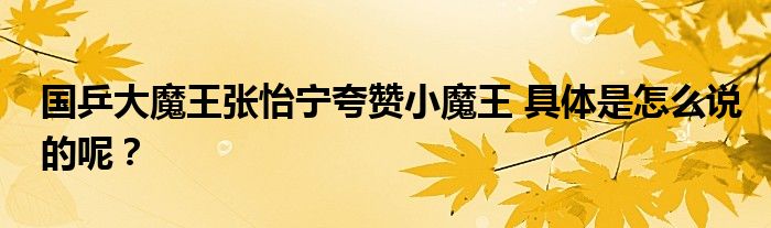 国乒大魔王张怡宁夸赞小魔王 具体是怎么说的呢?