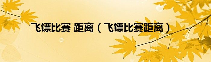 飞镖比赛 距离(飞镖比赛距离)