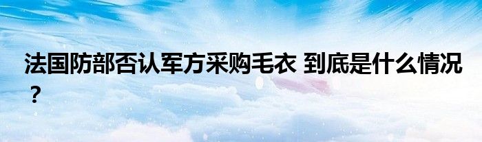 法国防部否认军方采购毛衣 到底是什么情况?