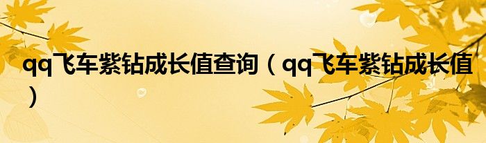 qq飞车紫钻成长值查询(qq飞车紫钻成长值)