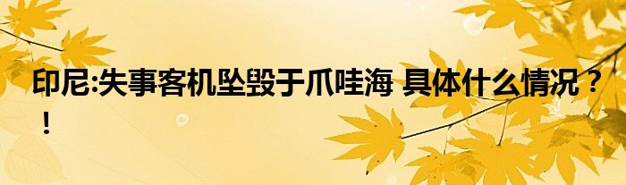 印尼:失事客机坠毁于爪哇海 具体什么情况?!