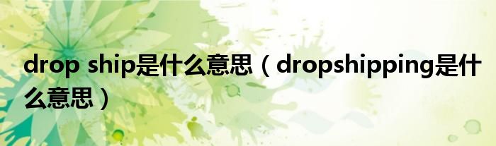 drop ship是什么意思(dropshipping是什么意思)