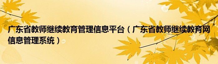 广东省教师继续教育管理信息平台(广东省教师继续教育网信息管理系统)