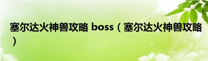 塞尔达火神兽攻略 boss（塞尔达火神兽攻略）