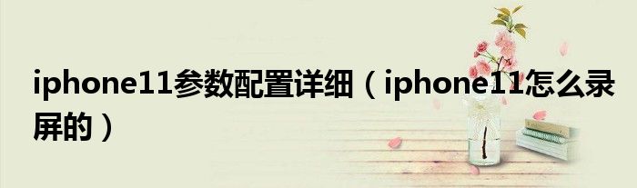 iphone11参数配置详细(iphone11怎么录屏的)