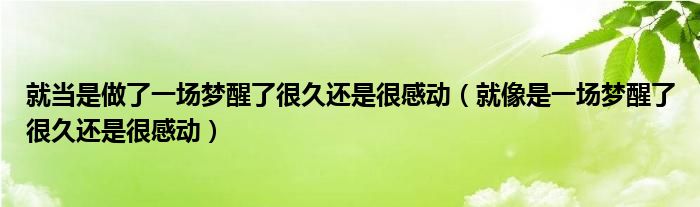 就当是做了一场梦醒了很久还是很感动（就像是一场梦醒了很久还是很感动）