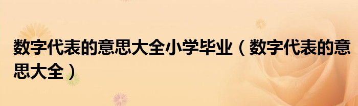 数字代表的意思大全小学毕业(数字代表的意思大全)