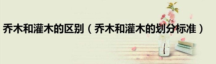 乔木和灌木的区别(乔木和灌木的划分标准)