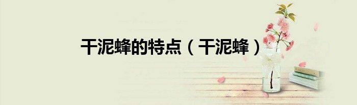 干泥蜂的特点（干泥蜂）