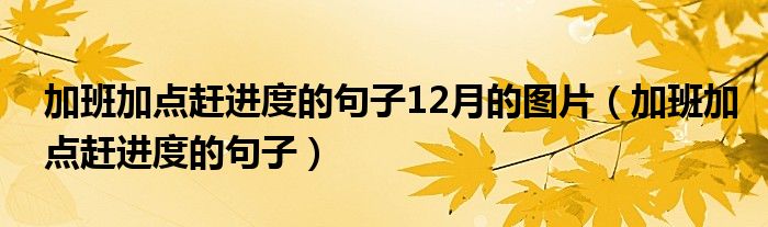 加班加点赶进度的句子12月的图片（加班加点赶进度的句子）