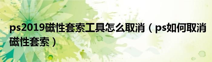 ps2019磁性套索工具怎么取消(ps如何取消磁性套索)
