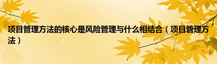 项目管理方法的核心是风险管理与什么相结合(项目管理方法)