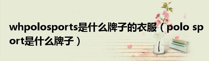 whpolosports是什么牌子的衣服(polo sport是什么牌子)