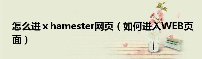 怎么进ⅹhamester网页(如何进入WEB页面)