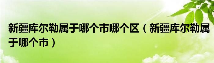 新疆库尔勒属于哪个市哪个区(新疆库尔勒属于哪个市)