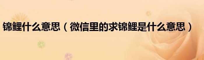 锦鲤什么意思(微信里的求锦鲤是什么意思)