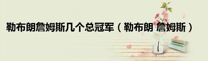 勒布朗詹姆斯几个总冠军(勒布朗 詹姆斯)