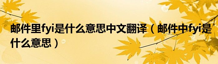 邮件里fyi是什么意思中文翻译(邮件中fyi是什么意思)