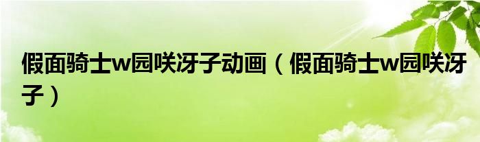 假面骑士w园咲冴子动画(假面骑士w园咲冴子)