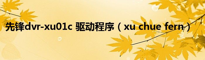 先锋dvr-xu01c 驱动程序(xu chue fern)