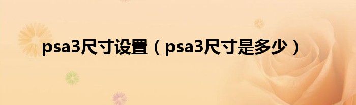 psa3尺寸设置(psa3尺寸是多少)