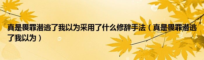 真是畏罪潜逃了我以为采用了什么修辞手法(真是畏罪潜逃了我以为)