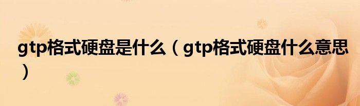 gtp格式硬盘是什么(gtp格式硬盘什么意思)